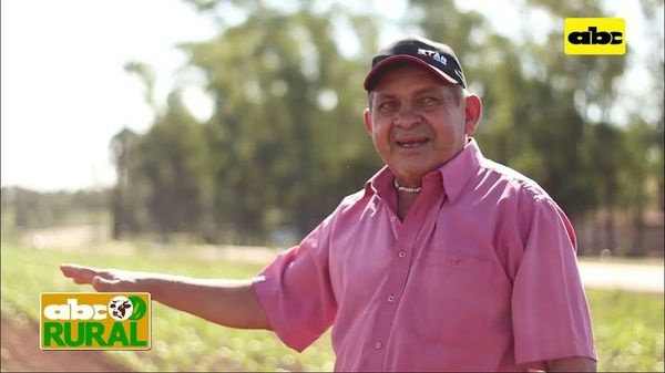 ABC Rural: Productores de Itapúa Poty se organizan - ABC Rural - ABC Color