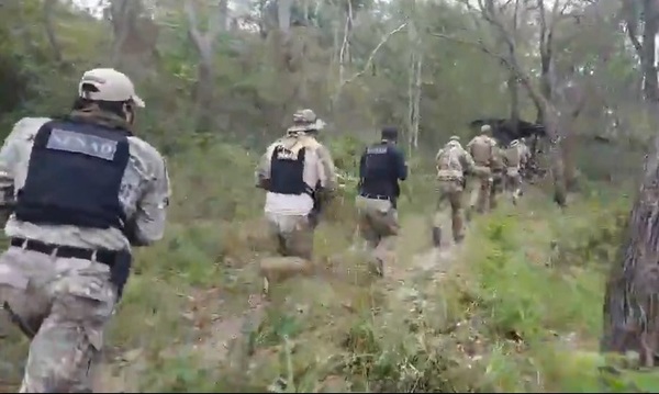 FTC, SENAD y MADES destruyen campamento de drogas dentro del Parque Nacional Paso Bravo - ADN Digital