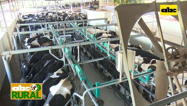 ABC Rural: Agricultura debe ir de la mano con la ganadería de leche - ABC Rural - ABC Color