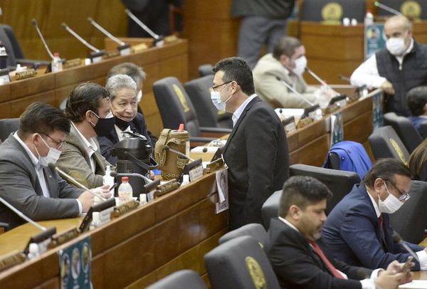 Atropellarán la Constitución con un nuevo autoblindaje - Nacionales - ABC Color