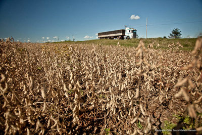 Gremios de producción califican de 'disparate' intención de nueva suba de impuesto a la soja