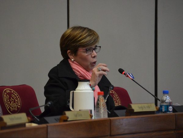 Senadora afirma que el proyecto del Ejecutivo debe ser analizado · Radio Monumental 1080 AM