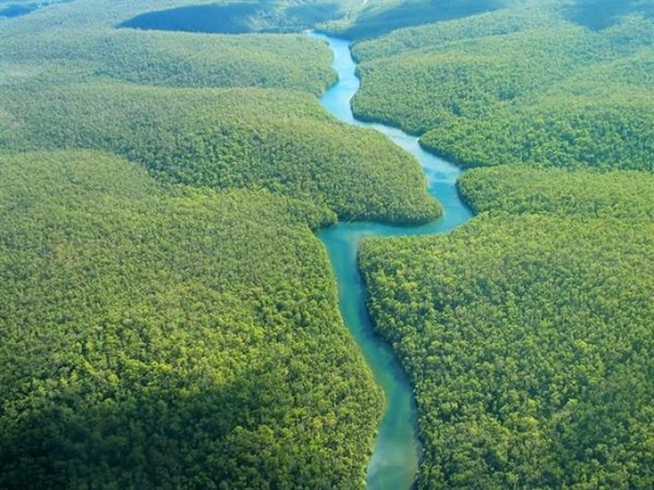 Francia vetará el acuerdo Mercosur-UE si no hay garantías sobre la protección del Amazonas | OnLivePy