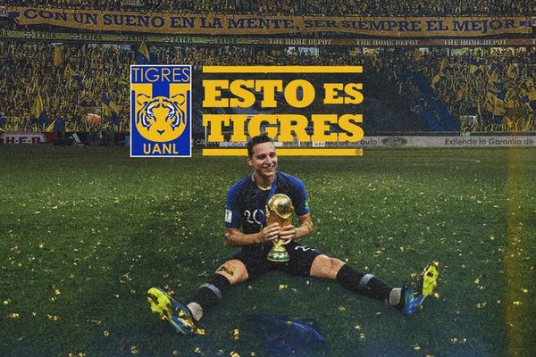 Tigres y un refuerzo top: Thauvin, nuevo compañero de González - Fútbol - ABC Color