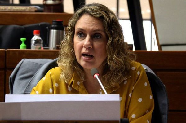 Diputada considera que plan para sancionar vacunación vip es inaplicable