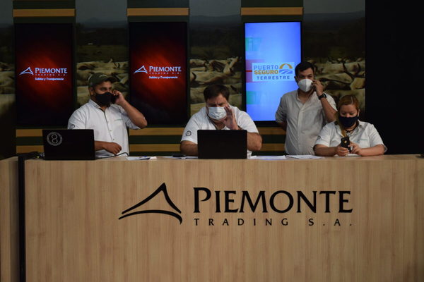 Piemonte remata mañana sábado más de 460 cabezas de invernada en feria televisada
