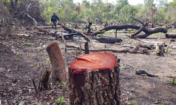 Exitoso primer día del operativo “Cielo Guaraní Soberano”