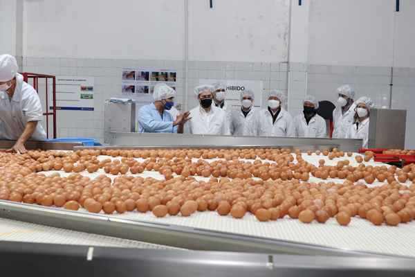 Ministro del MIC visitó complejo avícola y destacó “inmensa labor social” que realiza la empresa | .::Agencia IP::.