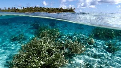 Océanos: de aliados a potenciadores del cambio climático