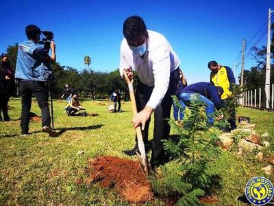 Plantaron 250 arbolitos en el predio de la Sede Social de la Cooperativa Luque •