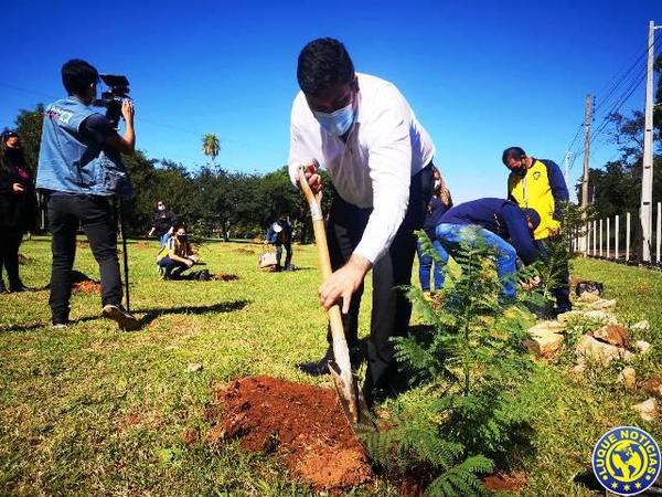 Plantaron 250 arbolitos en el predio de la Sede Social de la Cooperativa Luque •