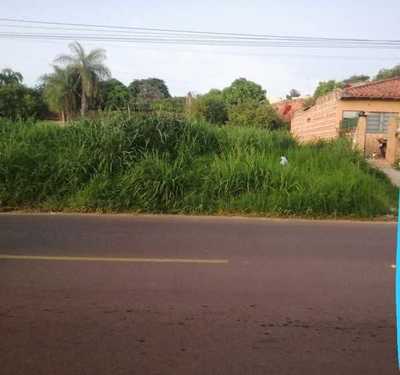 Reclamos de patios baldíos » San Lorenzo PY