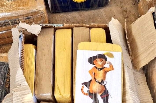 Diario HOY | ¿El gato con coca?: interceptan camión que transportaba droga oculta en cajas