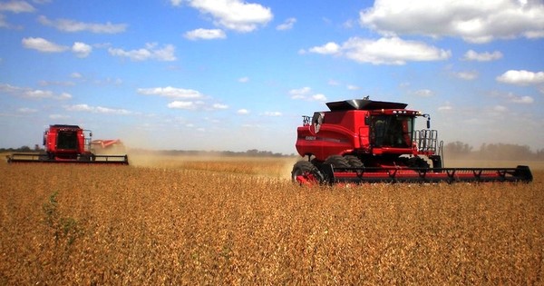 La Nación / Precios altos de soja serán una oxigenación para la economía