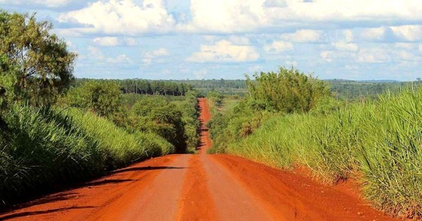 La Nación / Turismo: La Ruta de la Yerba Mate