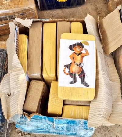 INTERCEPTAN CAMIÓN QUE TRANSPORTABA DROGA DEL «GATO CON COCA»