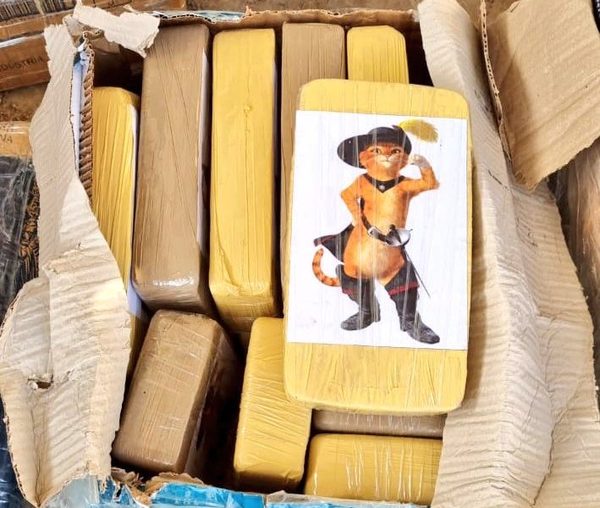 Incautaron carga de cocaína proveniente de Bolivia