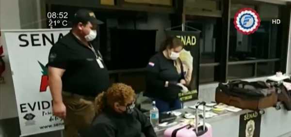 Can antidrogas frustra traslado de cocaína a España | Noticias Paraguay