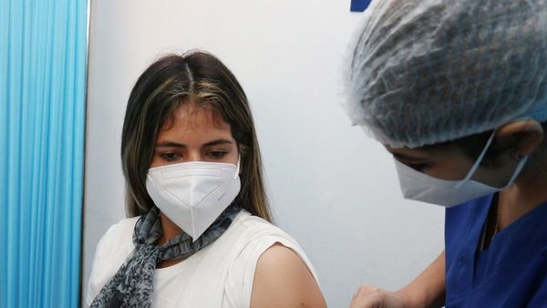 "Laschi" ya recibieron la vacuna anticoronavirus