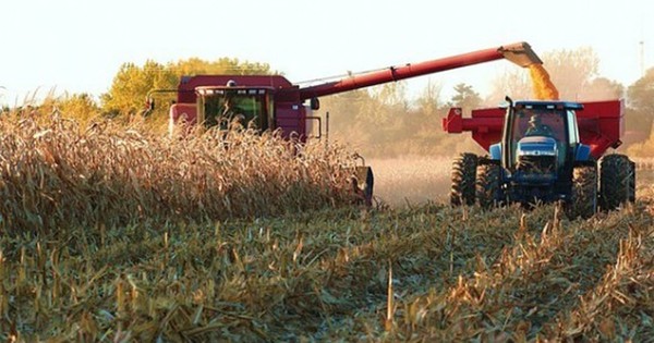 La Nación / Concesión de créditos para sectores de agronegocios se mantiene estable
