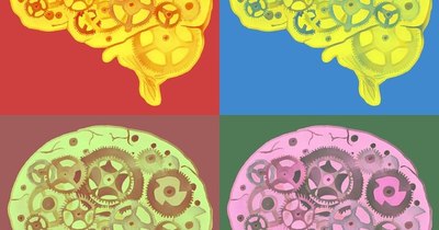 La Nación / Reconocer las formas geométricas, probable singularidad del ser humano