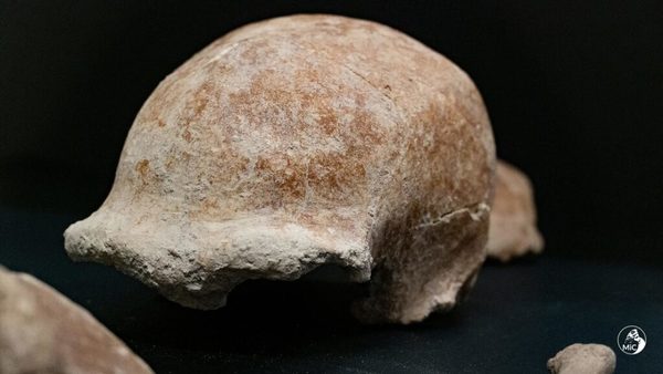 Hallan en una cueva de Italia los fósiles de nueve neandertales de entre 50.000 y 100.000 años | Ñanduti