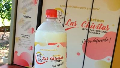 Las Chivitas: un emprendimiento del sur del país que ofrece quesos y leche de cabra