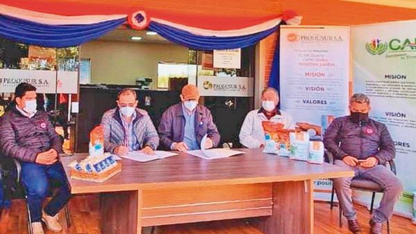 Buscan fortalecer la producción de mandioca en Itapúa
