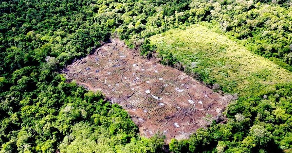 La Nación / El narcotráfico pierde US$ 37 millones en una semana