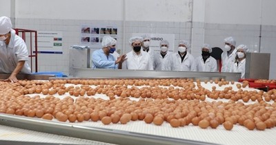 La Nación / Ministro de Industria realizó un recorrido por complejo avícola