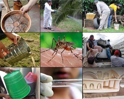 Inactivan criaderos del Aedes aegypti, a nivel país – Prensa 5