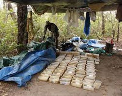 Senad detecta laboratorio de cocaína en el Parque Nacional Paso Bravo