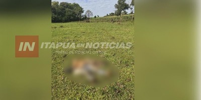 HALLAN CADÁVER Y PRESUMEN HOMICIDIO EN BELLA VISTA