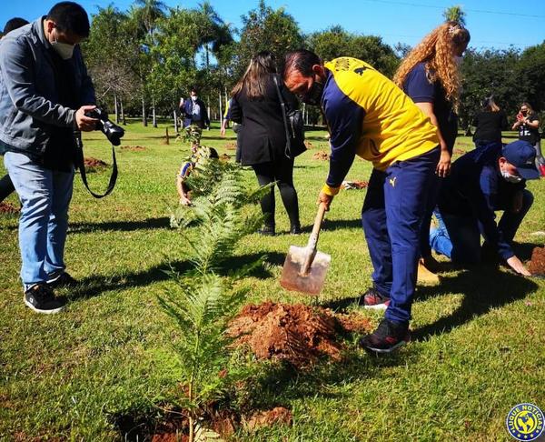 ARBORIZACIÓN KUARAHY'A •