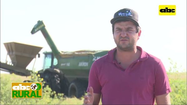 ABC Rural: Cosecha de arroz y preparación de campos para ganado - ABC Rural - ABC Color