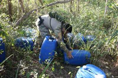 Siete pistas destruidas y 97 toneladas de marihuana anuladas en 5 días