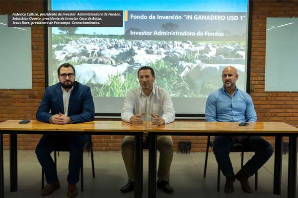 Se viene el primer fondo de inversión de Paraguay que conectará al mundo bursátil con la ganadería - MarketData