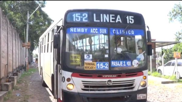 Robaron a pasajeros de micro en pleno centro de Villa Elisa