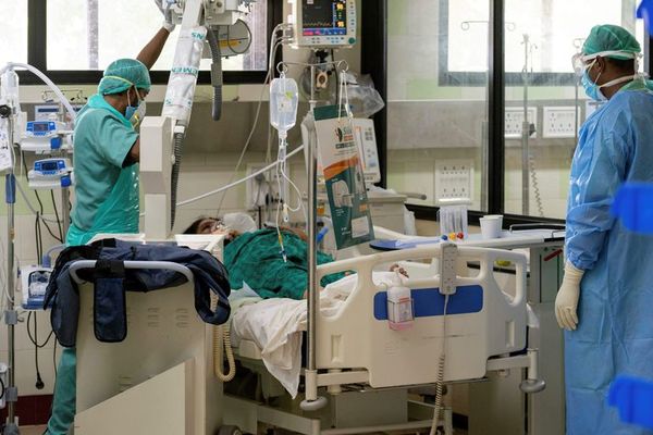 Los anticuerpos contra la covid duran al menos 8 meses en la mayoría de casos - Ciencia - ABC Color