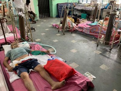 India detecta un aumento de infecciones por un hongo letal en casos de covid - Mundo - ABC Color