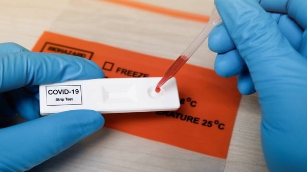 Diario HOY | Covid: anticuerpos permanecen en sangre al menos 8 meses, según estudio