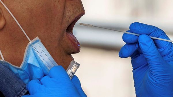 Anticuerpos contra Covid duran al menos 8 meses en mayoría de casos