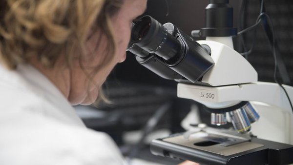 Un estudio en Italia concluyó que los anticuerpos contra el Covid-19 permanecen en el cuerpo durante ocho meses | .::Agencia IP::.