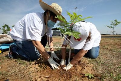 Con Plantatón 2021 buscarán sumar 5.000 árboles