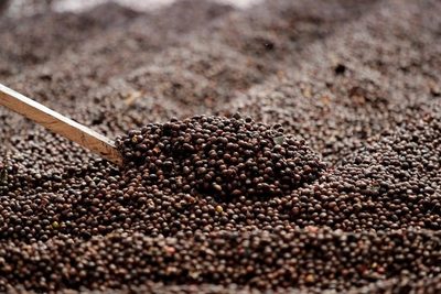 Las exportaciones de café brasileño cayeron un 8,5 % en abril - MarketData