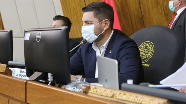 Alliana defiende comisión para estudio del Anexo C