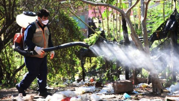 Salud reporta aumento de notificaciones por dengue