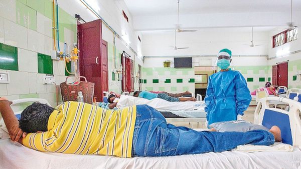 Anticuerpos contra el Covid-19 duran al menos 8 meses