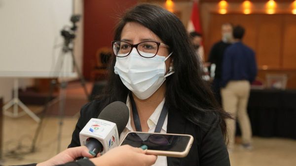 Observadores extranjeros en auditoría