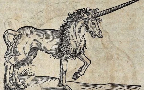 Convocatoria para microrrelatos sobre animales fantásticos